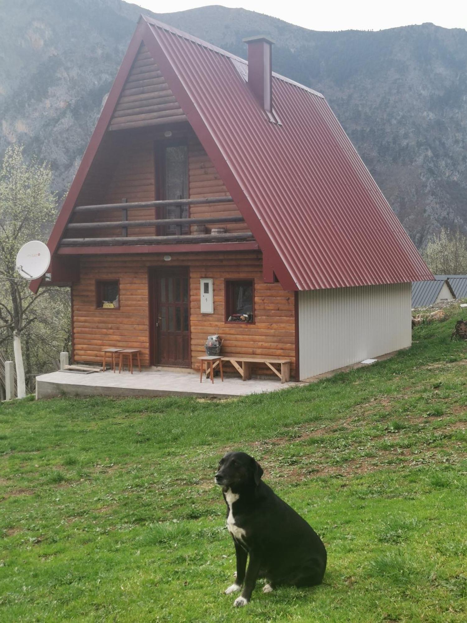 Ethno Cottage Momo Tepca Жабляк Номер фото